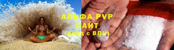 молекула духа Алексеевка