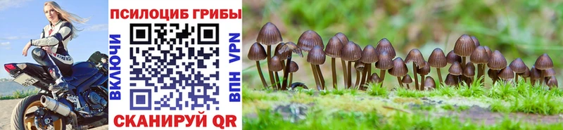 купить наркоту  Лагань  Галлюциногенные грибы MAGIC MUSHROOMS 